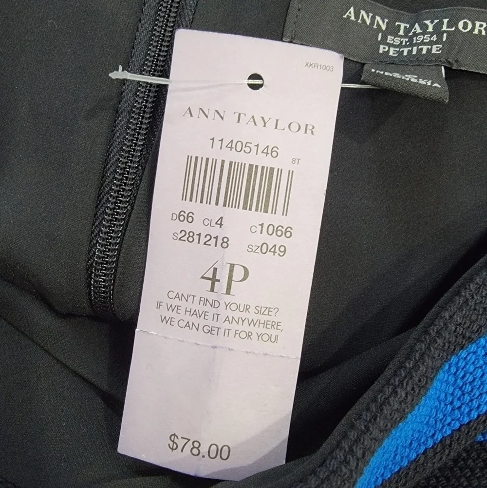 NEW Ann Taylor Black and Blue Striped Skirt Size 4 P